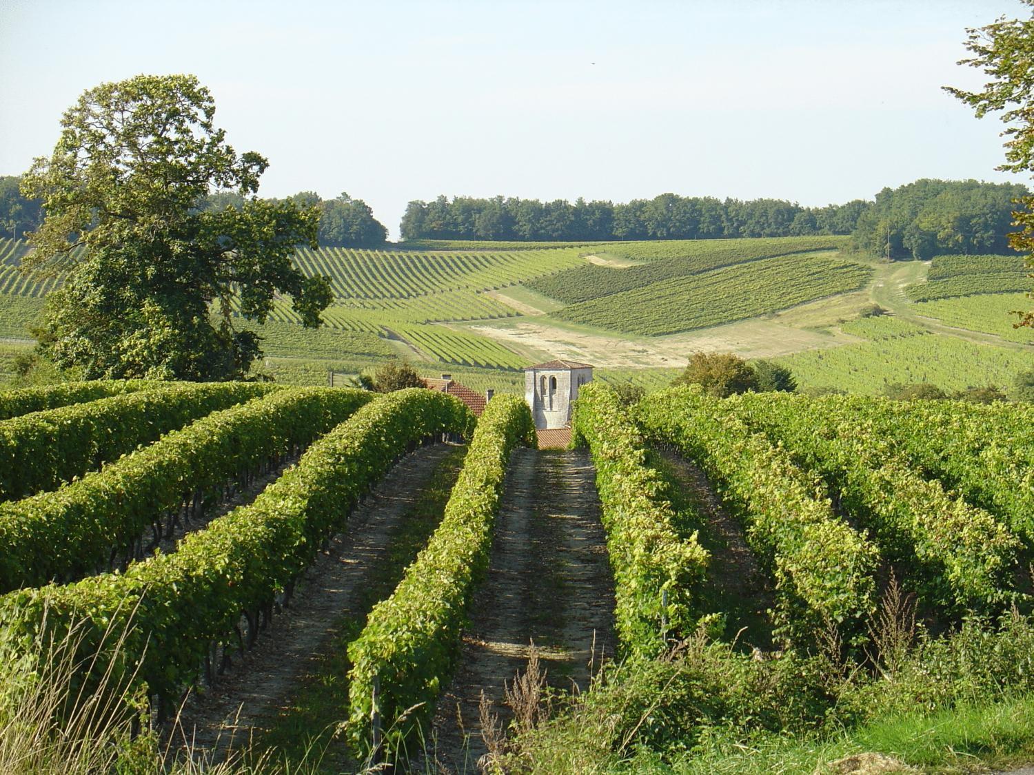 Le Relais De Saint-Preuil, The Originals Relais Vignes Du Cognac Hotel Ngoại thất bức ảnh